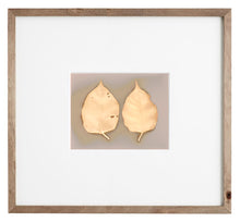 Load image into Gallery viewer, Danvers MA 1