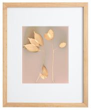 Load image into Gallery viewer, Danvers MA 3