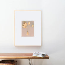 Load image into Gallery viewer, Danvers MA 3