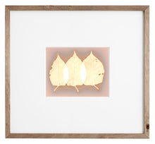 Load image into Gallery viewer, Danvers MA 4