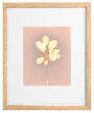 Load image into Gallery viewer, Danvers MA 11