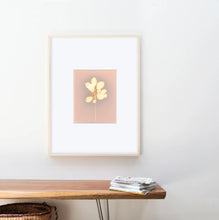 Load image into Gallery viewer, Danvers MA 11