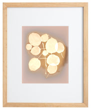 Load image into Gallery viewer, Danvers MA 13