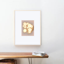 Load image into Gallery viewer, Danvers MA 13