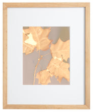 Load image into Gallery viewer, Danvers MA 19