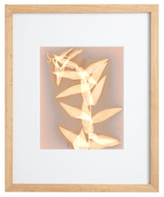 Load image into Gallery viewer, Danvers MA 22