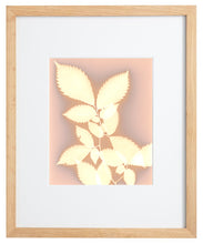 Load image into Gallery viewer, Danvers MA 27