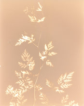 Load image into Gallery viewer, Kingston NY 10