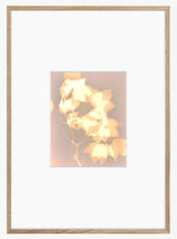 Load image into Gallery viewer, Washington Sq Park NYC 5