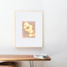 Load image into Gallery viewer, Washington Sq Park NYC 5