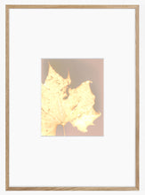 Load image into Gallery viewer, Washington Sq Park NYC 6