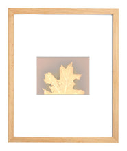 Load image into Gallery viewer, Central Park NYC 59_60