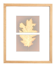 Load image into Gallery viewer, Central Park NYC 59_60