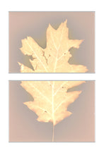 Load image into Gallery viewer, Central Park NYC 59_60