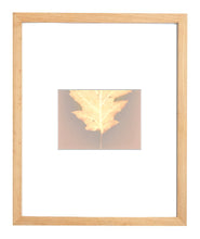 Load image into Gallery viewer, Central Park NYC 59_60