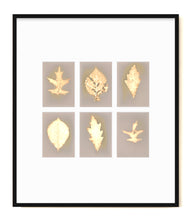 Load image into Gallery viewer, Central Park NYC 63_45678