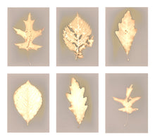 Load image into Gallery viewer, Central Park NYC 63_45678