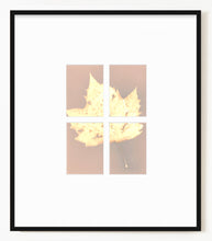 Load image into Gallery viewer, Central Park NYC 71_234