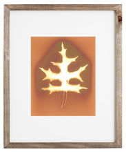 Load image into Gallery viewer, Central Park NYC 79