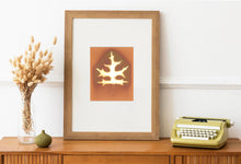 Load image into Gallery viewer, Central Park NYC 79