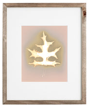 Load image into Gallery viewer, Central Park NYC 80