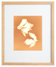 Load image into Gallery viewer, Central Park NYC 81