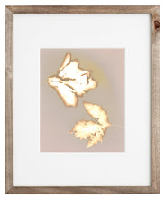 Load image into Gallery viewer, Central Park NYC 82