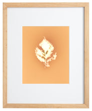 Load image into Gallery viewer, Central Park NYC 83