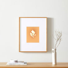 Load image into Gallery viewer, Central Park NYC 83