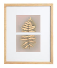 Load image into Gallery viewer, Shohola PA 72_3