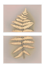 Load image into Gallery viewer, Shohola PA 72_3