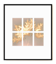 Load image into Gallery viewer, Shohola PA 76_7891