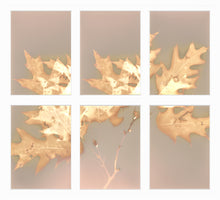 Load image into Gallery viewer, Shohola PA 76_7891